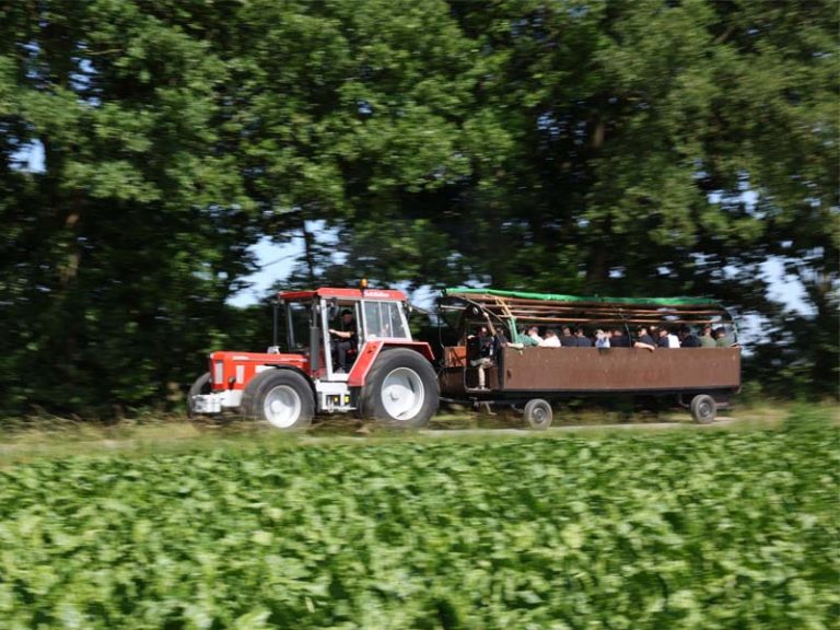Roter Traktor zieht einen offenen Anhänger mit mehreren sitzenden Personen über einen Feldweg. Im Vordergrund ist ein grünes Feld zu sehen, im Hintergrund eine Baumreihe unter blauem Himmel.