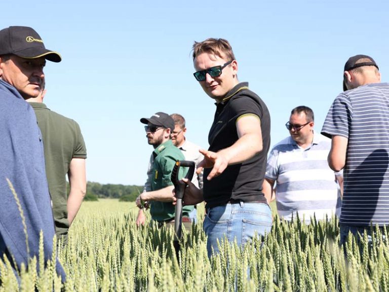 Mehrere Männer stehen in einem dichten Weizenfeld unter blauem Himmel. Ein Mann in der Bildmitte trägt eine Sonnenbrille und ein schwarzes Poloshirt mit gelben Akzenten, hält einen Spaten und gestikuliert mit der Hand. Weitere Personen im Hintergrund betrachten das Feld oder unterhalten sich.