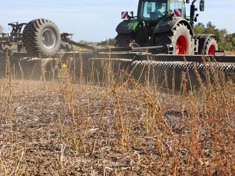 Agrisem Pack Roller hinter einem Traktor bei der Bodenbearbeitung auf einem trockenen, abgeernteten Feld.